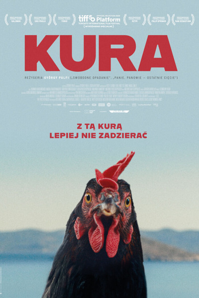 Plakat wydarzenia: Kura - premiera 